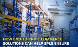 How End-to-End e-Commerce Solutions Can Help 3PLs Ensure E-Commerce Growth